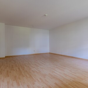 Wohnzimmer (2)