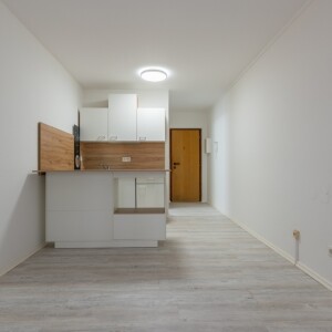 Wohn-Kochbereich (2)