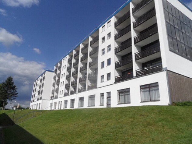 2-Zimmer-Wohnung - 2-Zimmer-Wohnung und Appartement in Haidmühle