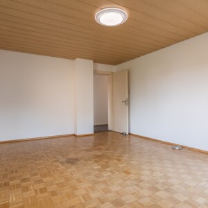 Wohnzimmer (2)