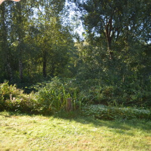 Garten und Ausblick