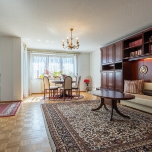 Wohnzimmer (1)