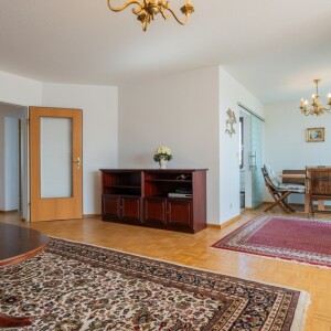Wohnzimmer (3)
