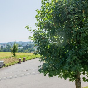 Ausblick (2)