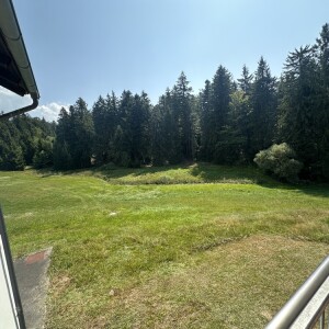 Grundstück