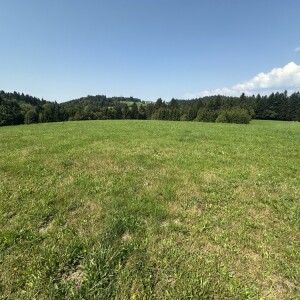 Grundstück3