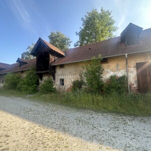 Ansicht (1)