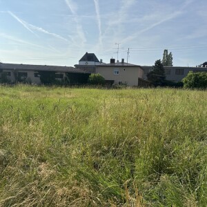 Grundstück (3)