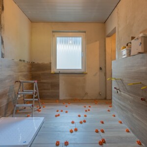 Tageslichtduschbad (1)