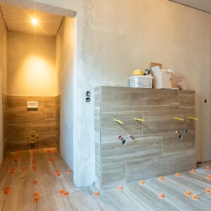 Tageslichtduschbad (2)