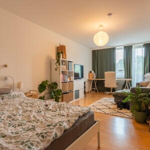 Wohnzimmer (1)