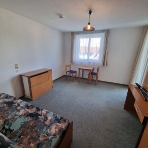 Wohn-Schlafbereich (1)