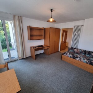 Wohn-Schlafbereich (2)