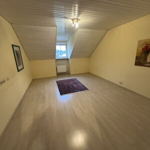 Wohn-Schlafbereich (1)