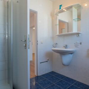 Tageslichtduschbad (2)