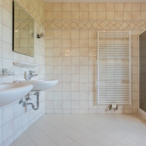 Tageslichtduschbad (1)