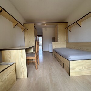 Wohn-Schlaf-Kochbereich (1)