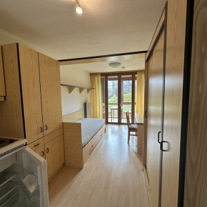 Wohn-Schlaf-Kochbereich (2)