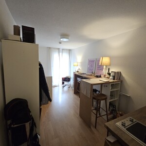 Wohn-Schlaf-Kochbereich (1)