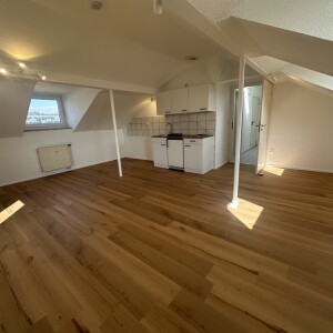 Wohn-Schlaf-Kochbereich (1)