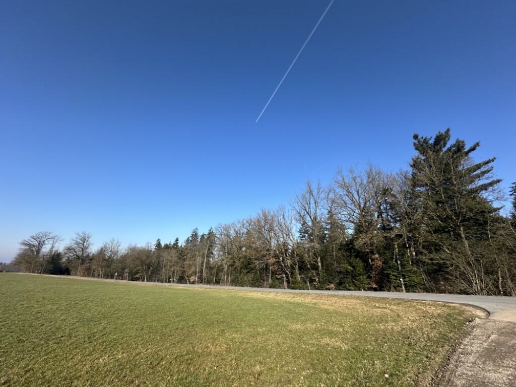 Waldgrundstück bei Tiefenbach