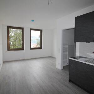 Wohn-Koch-Schlafbereich (1)