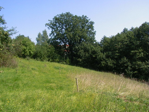 Baugrundstück - Baugrundstück in Fürsteneck Nähe Hutthurm