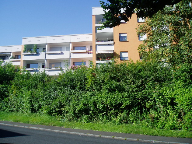 1-Zimmer-Appartement - Großzügiges 1-Zimmer-Appartement  in Passau-Grubweg mit Blick auf die Veste Oberhaus