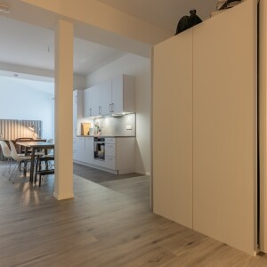 Wohn-Schlaf-Kochbereich (1)